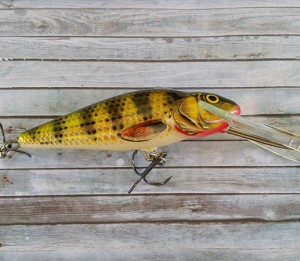 Salmo Perch 12cm Floating SDR HP