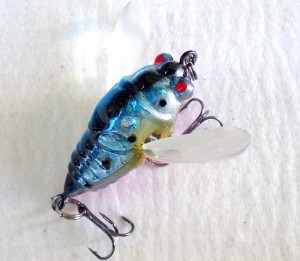 Cicada Winged 38mm Blue Pink Black Spots