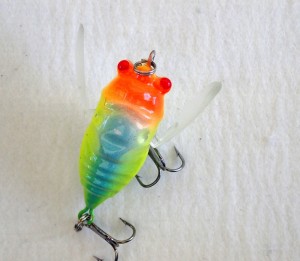 Cicada Winged 38mm Red yellow blue