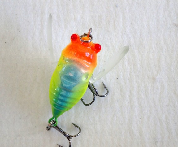 Cicada Winged 38mm Red yellow blue