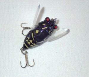 Cicada Winged 38mm Black fl