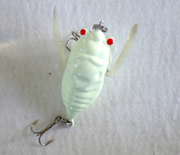 Cicada Winged 38mm Glow in Dark White
