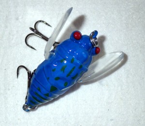 Cicada Winged 38mm Blue Black Markings